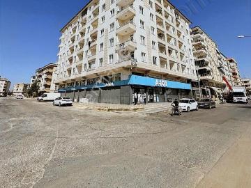 Kilis, Kilis ili, Güneydoğu Anadolu Bölgesi