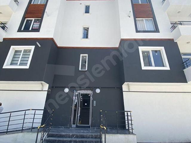 Üniversite yakınında kiralık 1+1