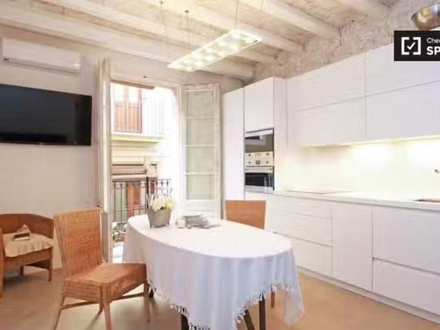 Único apartamento de 1 dormitorio en alquiler Barri Gòtic, B.