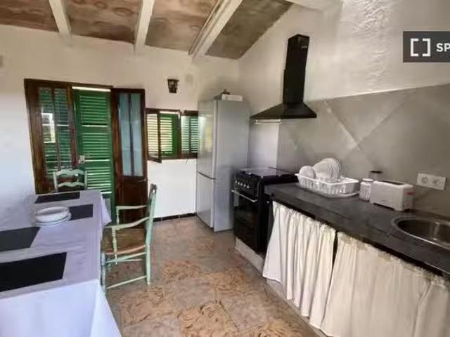 Nuevo Estudio en alquiler en Manacor, Palma de Mallorca