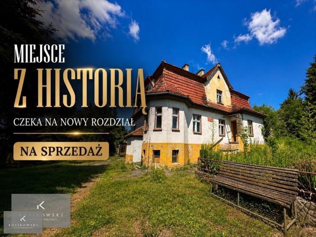 Unikalny dom z historią, 226 m², wymaga remontu zapraszam