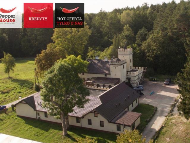 Do sprzedania unikatowy zamek z basenem 1050 m² w Chudaczewku