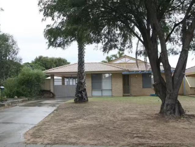 Rental! 3 BR 63 Bondi Crescent, WARNBRO, WA 6169 House for R.