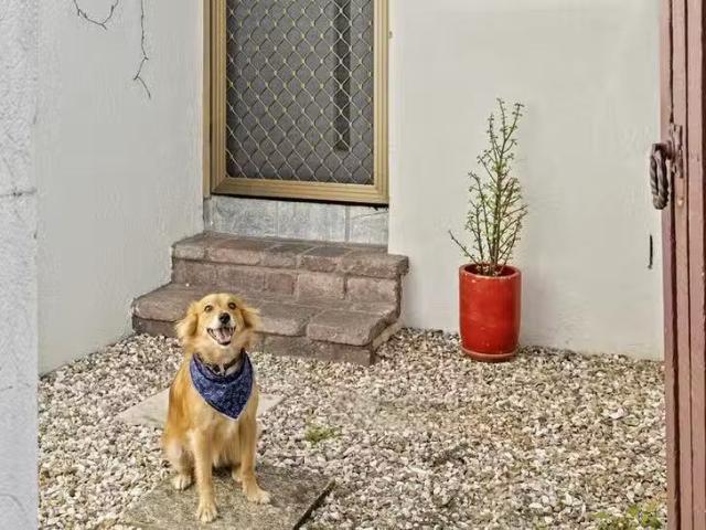 New 3 BR 8/5 Aquila Court, Mermaid Waters, QLD 4218