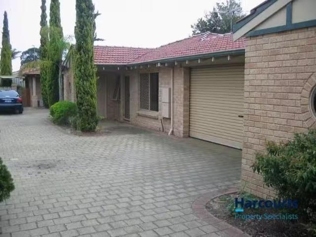 Cheap 3 BR 3/263 French Street, TUART HILL, WA 6060 House fo.