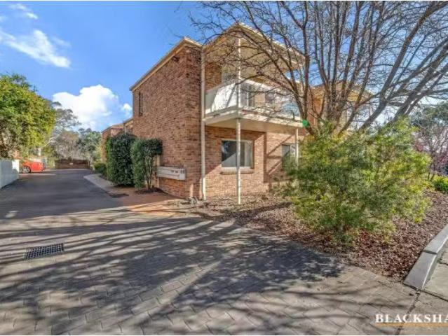 Deal! 1/46 Shumack Street, Weetangera Apartment for rent List.