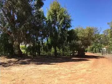 Charming 192 Archibald Street, Muchea, WA 6501