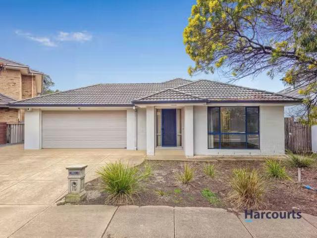 Nice 19 Riverglades Drive, POINT COOK, VIC 3030 House for Rent