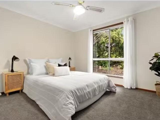 Unique 1 BR 2/104 Janet St, North Lambton Apartment for rent.