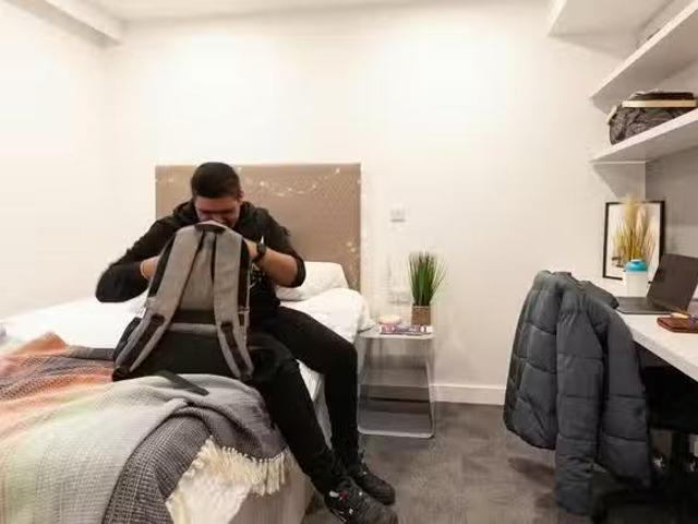 Unique 1 BR True Swansea true Studio