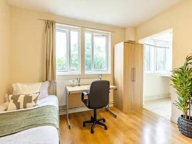 Cheap 1 BR Brooke Hall Standard Studio