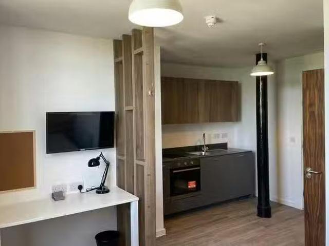 Cozy 1 BR Silk Mill Lancaster Standard Studio