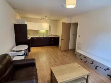 Cozy 2 bedroom flat for rent in Upper Marshall Street, Birming.