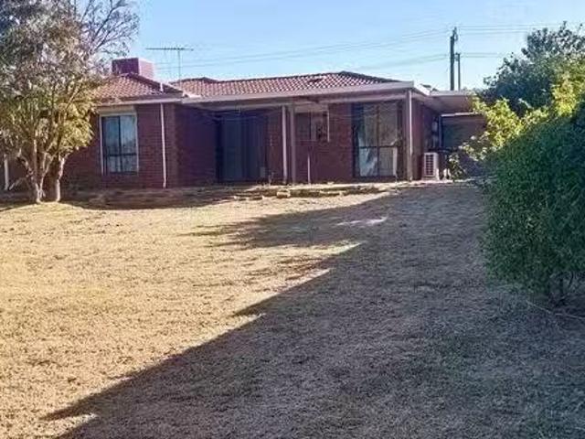Cheap 49 Torquata Drive, Mirrabooka, WA 6061