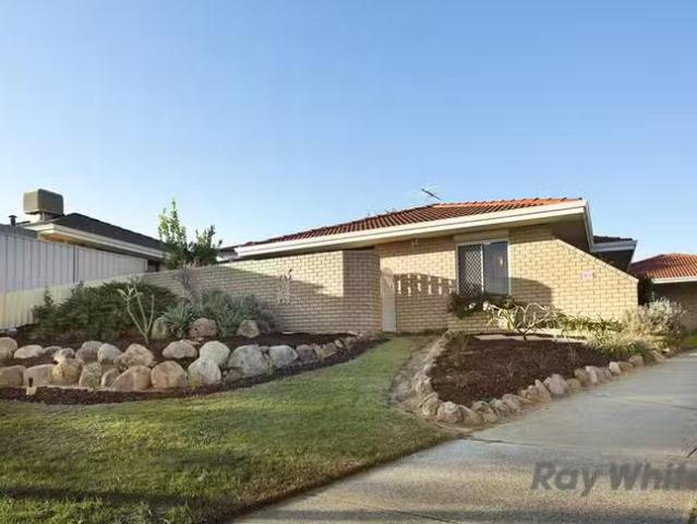 Just in! 49A Hanrahan Loop, Kardinya, WA 6163