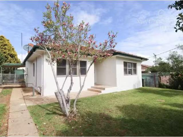 Nice 4 BR 158 Fernleigh Road, Mount Austin House for rent Lis.
