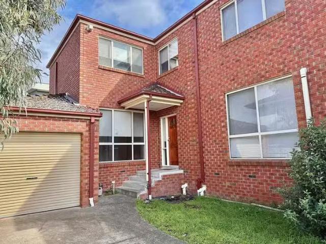 Rental! 4 BR 3/43 Panorama Street, Clayton, VIC 3168