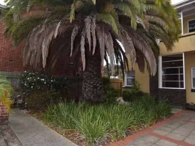 Rental! 6/62 York Street, St Kilda West VIC 3182 Apartment F.