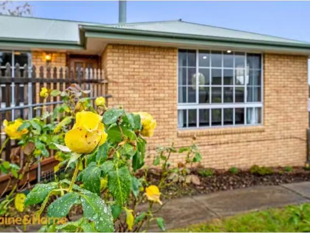 Cheap 8 Grevillea Way, KINGSTON House for rent Listed by Sara.