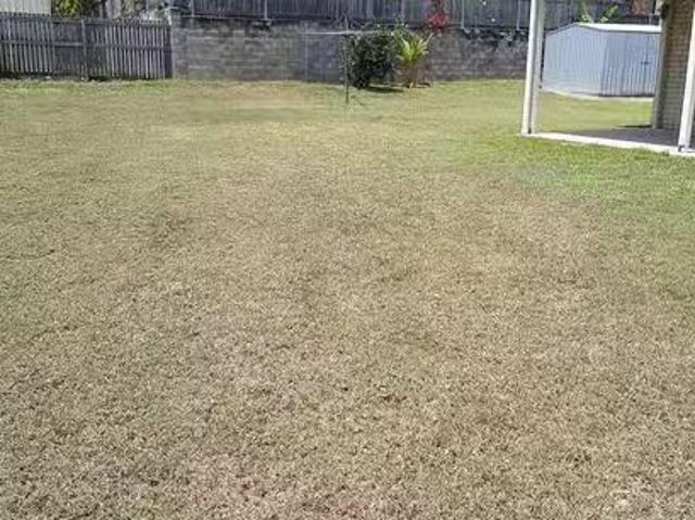 Cheap 8 Matilda Court, Eimeo, QLD 4740
