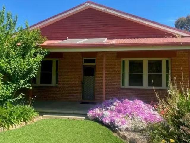 Just in! Clarendon Hale Street, North Wagga Wagga House for r.