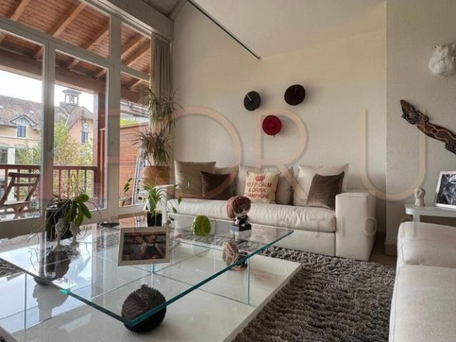 Unique, beau et grand triplex 6.5 pièces en attique à Plan les Ouates