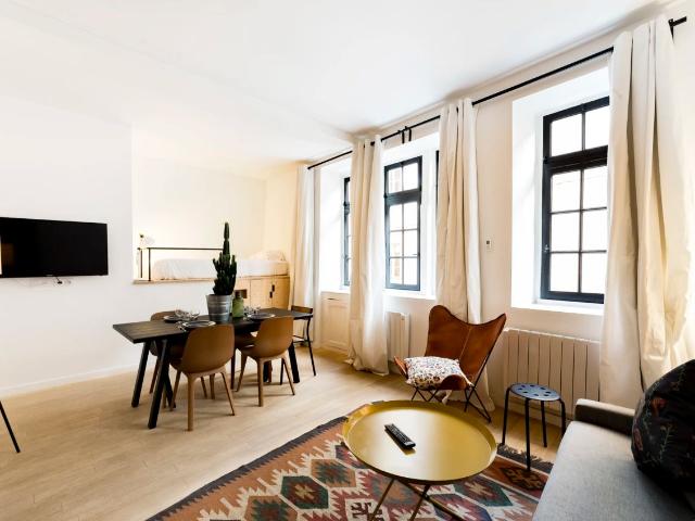 Unique flat in the old Lyon, Lyon Amsterdam Apartments for Rent