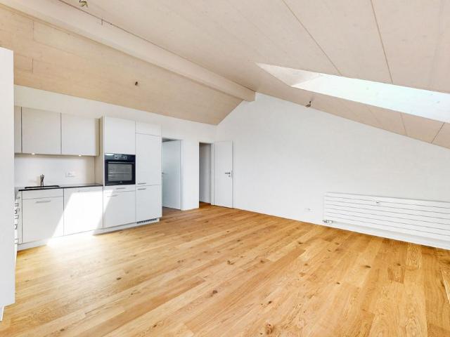 Unique roof apartment in the idyllic Feldbrunnen