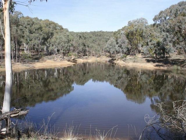 Unique Rural Holding with Nature Reserve Boundary & Easy Access