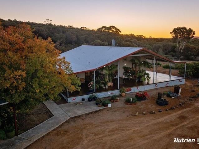 Unique Rural Sanctuary with Main Residence, Cottage & Massive Workshop