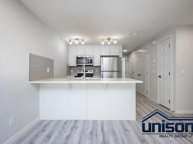 Unison 1 Bedroom Lower Suite in Seton Zen Sequel