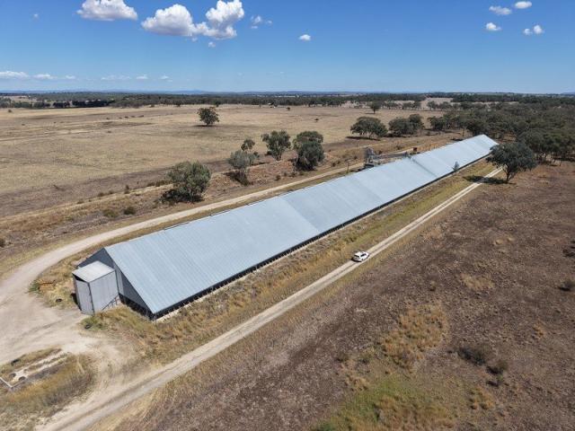 Unlock the Potential: Quality Grain and Storage Handling Facility