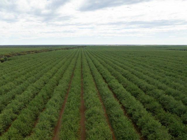 Unprecedented opportunity comprising five highly productive assets