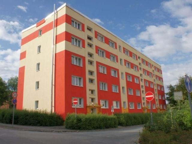 Unschlagbar günstig: Moderne Basis für kreative Sparfüchse!
