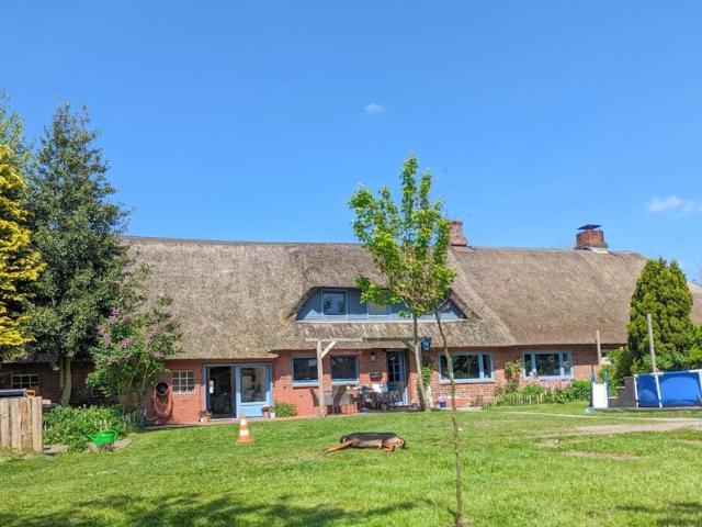 Unter Reet geboren – Ein Haus mit Seele, Weite und Möglichkeiten