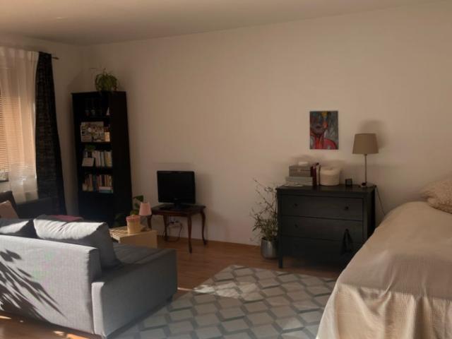Untermieter/in für meine 1 Zimmer Wohnung gesucht