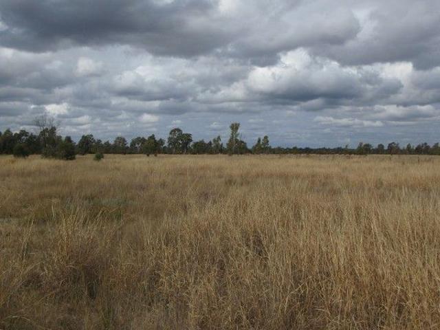 Untouched piece of land with dam and container