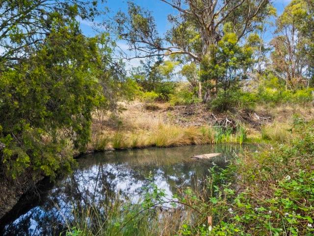 Unveil Your Dream: 37.6 Acres of Pure Potential Await in Orielton!