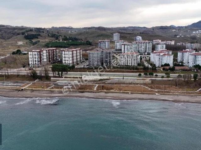 Ünye Ana Yol Üstü Acarkent Sitesi Deniz Manzaralı Daire