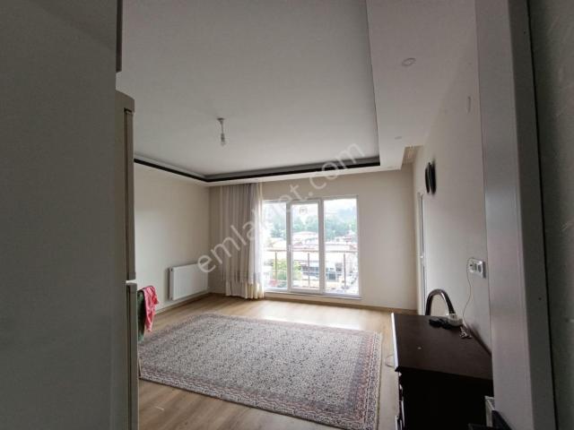 Ünye Yunusemre Mah 1+1 Asansörlü Kiralık Daire