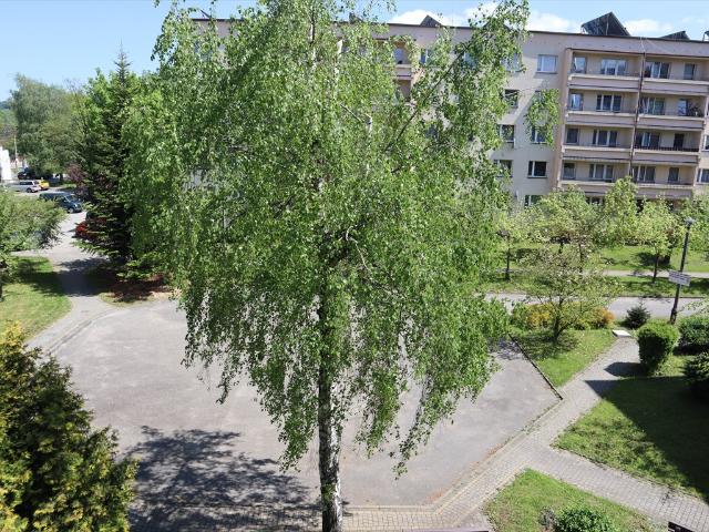 3 pokojowe mieszkanie w centrum Ustronia z potencjałem