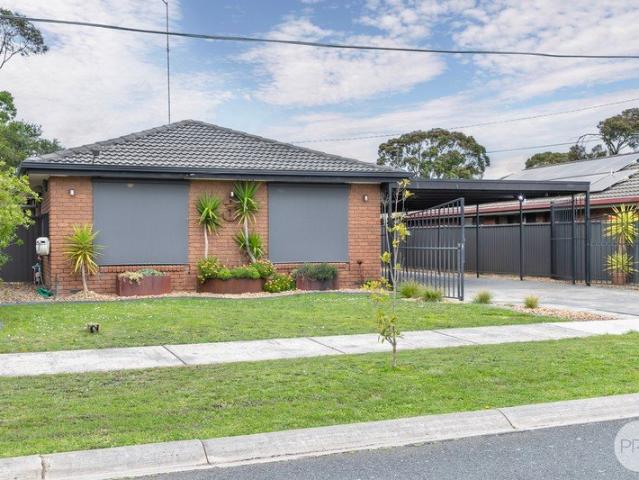 Updated Family Home with Space, Shedding and Convenience