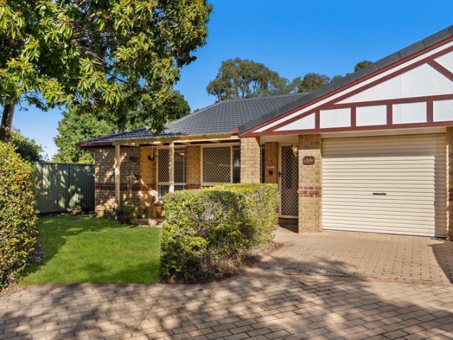 Updated Lowset in Immaculate Complex