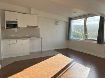 Updated 1 bedroom studio freshly painted