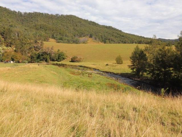 Upper Macleay Grazing