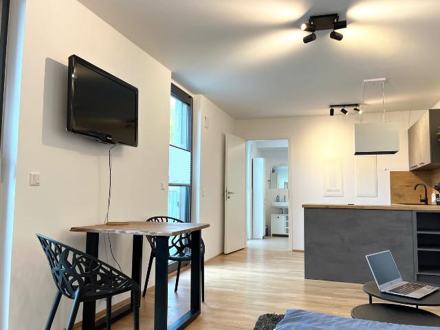 Upscale new build apartment in Berlin Adlershof Technology Park, Berlin Amsterdam Apartments for Rent