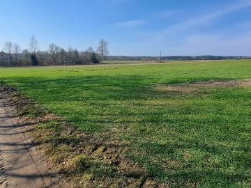 Urokliwa działka z domem i budynkami w Hołowienkach
