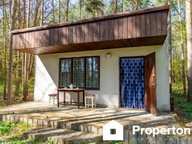 Urokliwy domek rekreacyjny na działce 1527 m² w Włodzimierzu