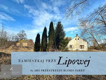 Duża działka 8 200 m² z zabudowaniami do remontu