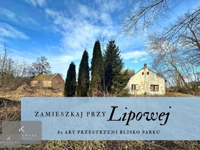 Duża działka 8 200 m² z zabudowaniami do remontu